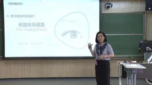 視覺傳導通路與瞳孔對光反射通路