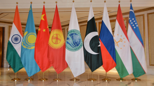 特稿｜為全球共同發(fā)展提供廣泛深刻的啟示——中共二十屆三中全會戰(zhàn)略擘畫引發(fā)全球南方國家強(qiáng)烈共鳴