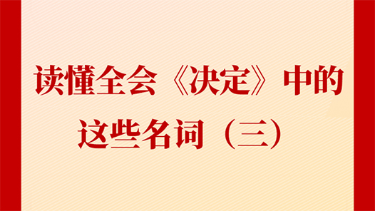新聞多一點(diǎn)｜讀懂全會(huì)《決定》中的這些名詞（三）