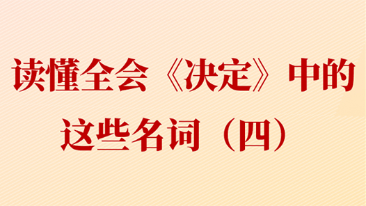讀懂全會(huì)《決定》中的這些名詞（四）