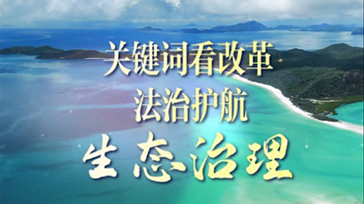 聯(lián)播觀察｜關(guān)鍵詞看改革 法治護(hù)航生態(tài)治理