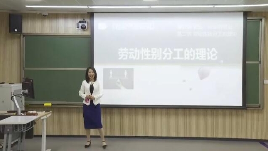 勞動性別分工的理論-教學設計