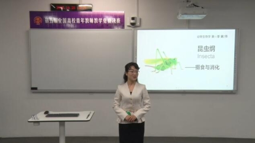 昆蟲綱攝食與消化