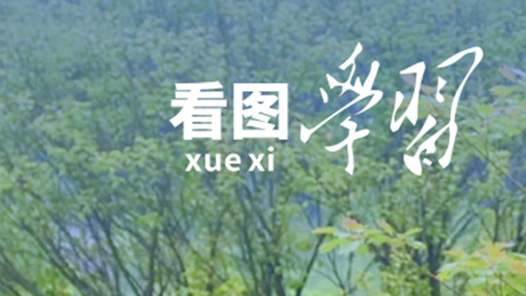 看圖學習·改革為人民｜堅持以人民為中心 在改革中持續(xù)增進民生福祉