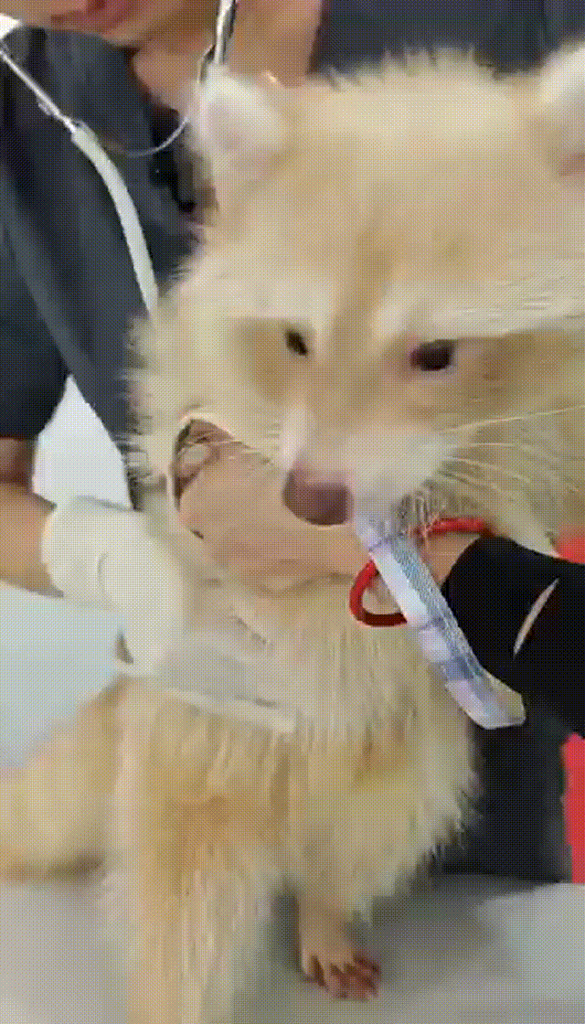 16c8b44d57d559d9814c4e69bbb7c307 00_00_00-00_00_30 16c8b44d57d559d9814c4e69bbb7c307 00_00_00-00_00_30