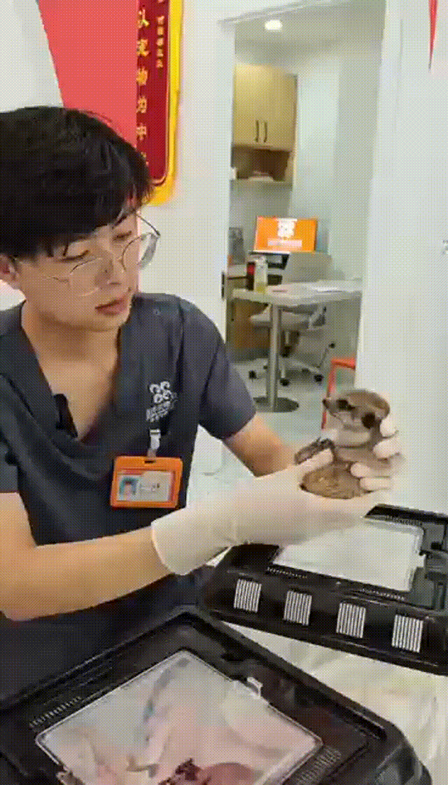 7659ad57d1143d0425beee5214fa740d 00_00_00-00_00_30 7659ad57d1143d0425beee5214fa740d 00_00_00-00_00_30