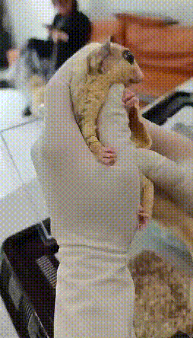 cdfd56c402d2ce19d15f37a437461ad4 00_00_00-00_00_30 cdfd56c402d2ce19d15f37a437461ad4 00_00_00-00_00_30