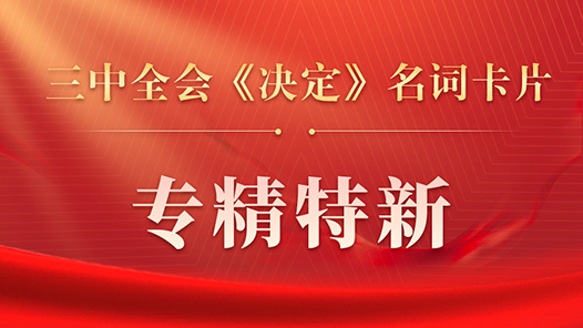 三中全會(huì)《決定》名詞卡片天天學(xué)：專精特新