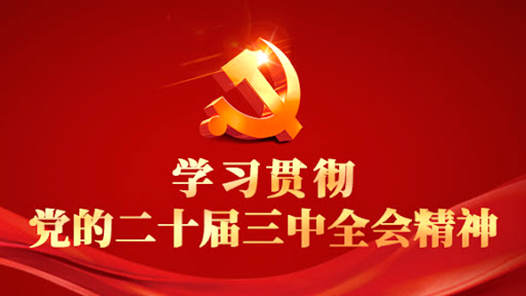 學(xué)習(xí)貫徹黨的二十屆三中全會(huì)精神｜把學(xué)習(xí)成果轉(zhuǎn)化為推動(dòng)工作的強(qiáng)大動(dòng)能