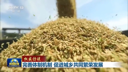 權(quán)威訪談｜完善體制機(jī)制 促進(jìn)城鄉(xiāng)共同繁榮發(fā)展