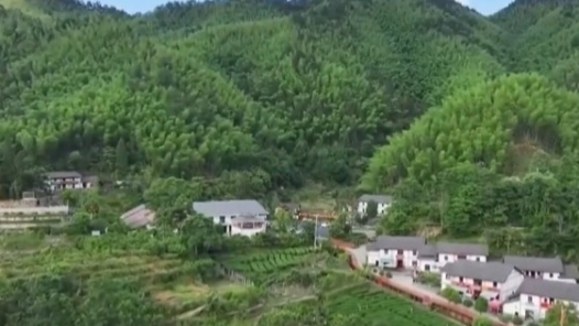 奮進強國路 闊步新征程·老區(qū)行｜弘揚井岡山精神 推動鄉(xiāng)村全面振興