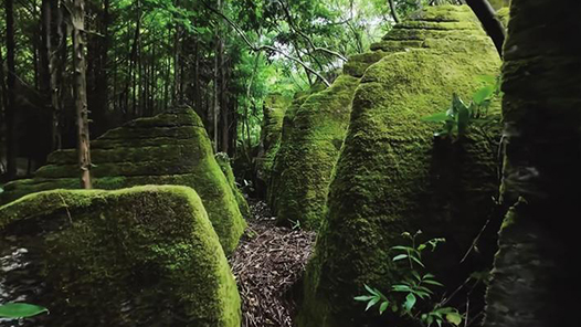 奮進強國路 闊步新征程·老區(qū)行｜桑植：路通物豐百業(yè)興