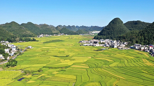 奮進強國路 闊步新征程｜書寫人與自然和諧共生的嶄新篇章