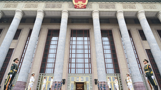 快訊：“友誼勛章”獲得者迪爾瑪·羅塞芙發(fā)言