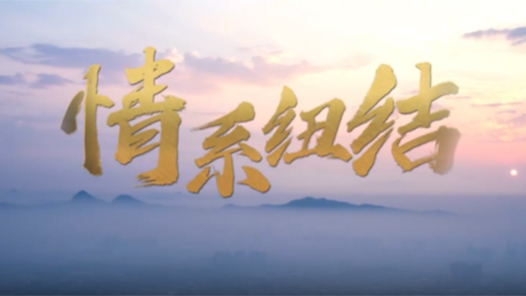 清澈的愛 只為中國｜情系紐結(jié)