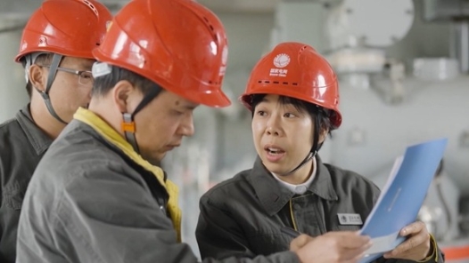 中國夢·大國工匠篇 | 廖麗萍：守護(hù)萬家燈火的“蒲公英”