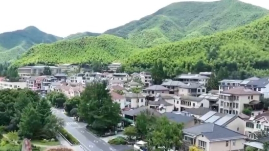 奮進強國路 闊步新征程·老區(qū)行｜金寨的“金果子”熟了