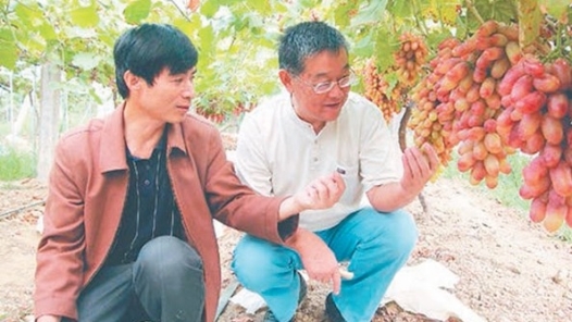 輝煌75載 與共和國(guó)同成長(zhǎng)的勞動(dòng)模范 | 趙亞夫：惠農(nóng)興農(nóng)“活雷鋒”