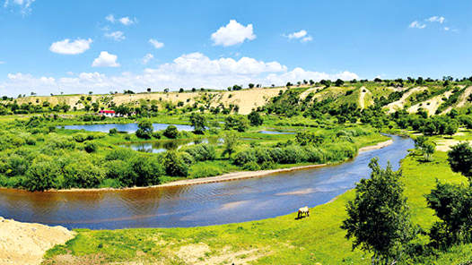 奮進強國路 闊步新征程·親歷重大工程建設(shè)丨“三北”工程：從“沙進人退”到“綠進沙退”