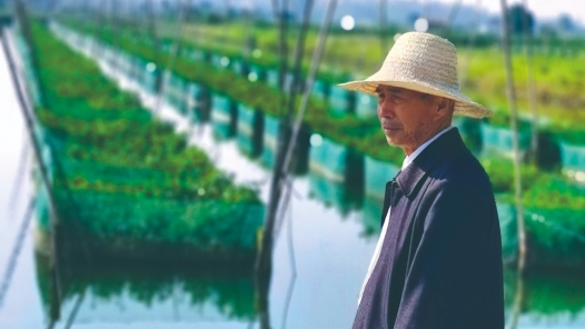 輝煌75載 與共和國(guó)同成長(zhǎng)的勞動(dòng)模范 | 陳江啟：網(wǎng)箱養(yǎng)鱔蹚出致富路