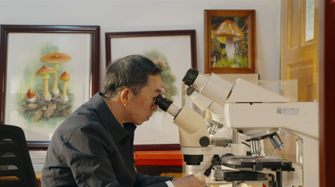 輝煌75載 與共和國(guó)同成長(zhǎng)的勞動(dòng)模范 | 楊祝良：了不起的“蘑菇”先生