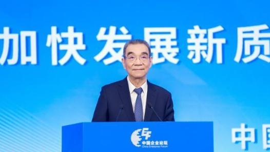 林毅夫：不同類型產(chǎn)業(yè)如何加快發(fā)展新質(zhì)生產(chǎn)力