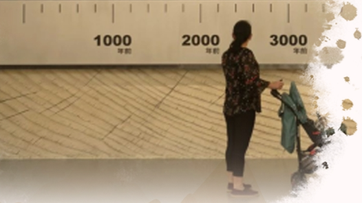 何以中國(guó)·緣起良渚丨傳承與弘揚(yáng) 讓燦爛文明在當(dāng)代得到新延續(xù)