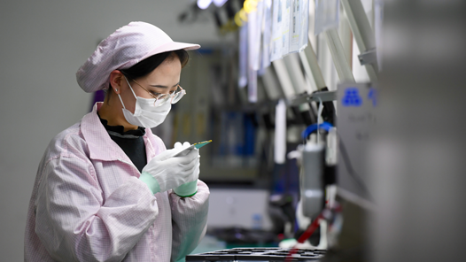 學(xué)習(xí)貫徹黨的二十屆四中全會精神｜促進(jìn)高質(zhì)量充分就業(yè)