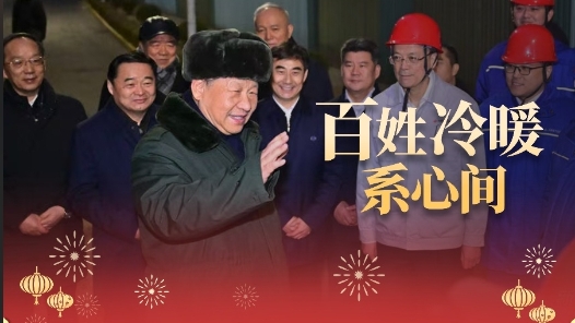 時(shí)政微視頻丨百姓冷暖系心間