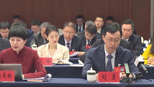 兩會同期聲｜人大代表熱議：加快培育和壯大新質(zhì)生產(chǎn)力