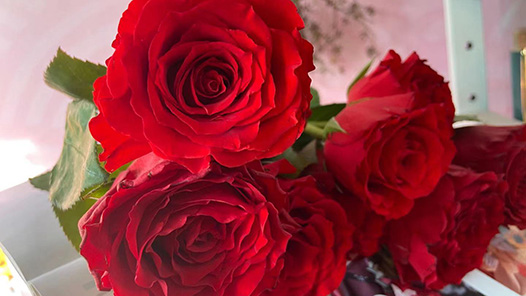 山西臨汾為女職工打造有溫度的“云端家園”