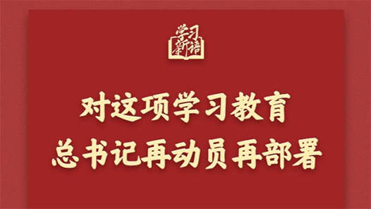 學(xué)習(xí)新語｜對(duì)這項(xiàng)學(xué)習(xí)教育，總書記再動(dòng)員再部署
