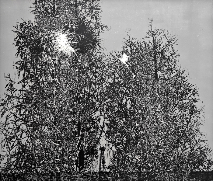 84-張軍東-中國石油化工股份有限公司-油城水杉-版畫-80×60cm