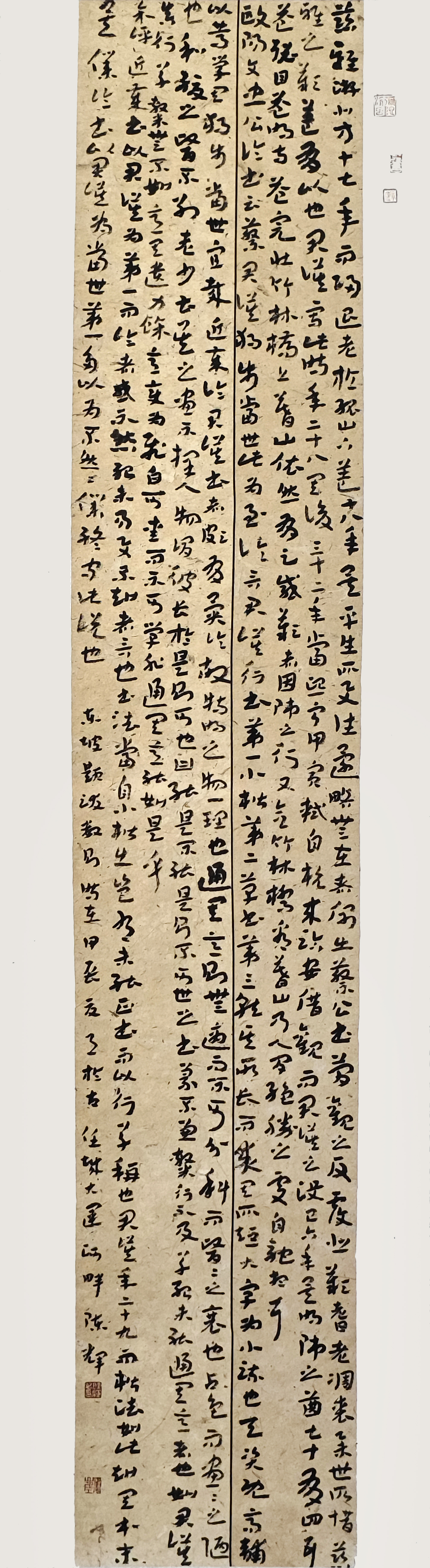 107-陳輝-華魯控股集團有限公司-東坡題跋數(shù)則-草書-180×51cm外框尺寸235X57cm