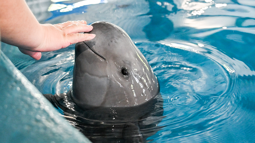 李強(qiáng)在政府工作報告中提出，加快推動全面綠色轉(zhuǎn)型