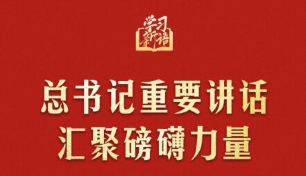 學(xué)習(xí)新語(yǔ)｜總書(shū)記重要講話匯聚磅礴力量
