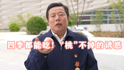 2025年“中國(guó)夢(mèng)·勞動(dòng)美”慶?！拔逡弧碧貏e節(jié)目丨四季都能吃！“桃”不掉的誘惑