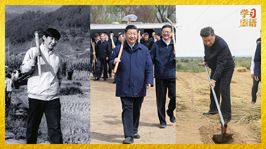 學(xué)習(xí)新語(yǔ)｜勞動(dòng)是一切幸福的源泉