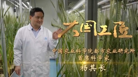 大國工匠丨“土”博士主導(dǎo)創(chuàng)建垂直植物工廠 讓蔬菜年產(chǎn)量翻百倍