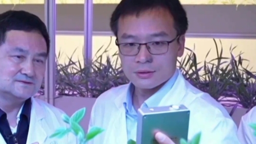 大國工匠有新知丨植物工廠有奇跡 30畝地產(chǎn)量只用三分地