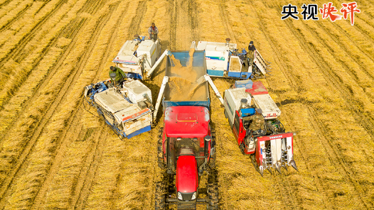 央視快評(píng)丨高質(zhì)量完成“十五五”規(guī)劃編制工作