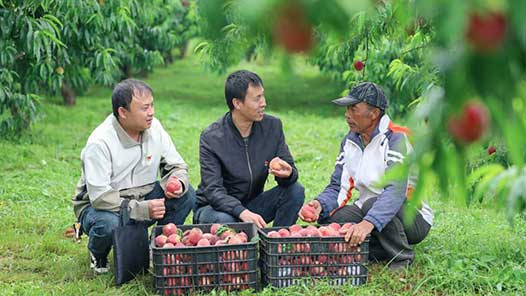 鍥而不舍落實(shí)中央八項(xiàng)規(guī)定精神｜云南曲靖：讓基層干部不用“圍著表格轉(zhuǎn)”
