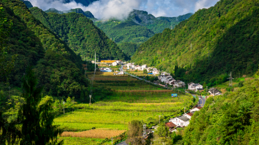 新春走基層·建設(shè)宜居宜業(yè)和美鄉(xiāng)村｜于營(yíng)村的幸?！叭纸?jīng)”