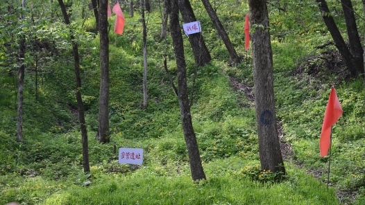 銘記歷史 緬懷先烈丨白山黑水見證：從烽火硝煙到振興熱土的巨變