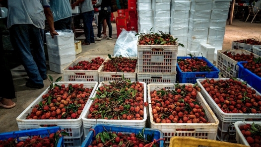 “既享受了工會(huì)福利，還為鄉(xiāng)村振興作了貢獻(xiàn)”