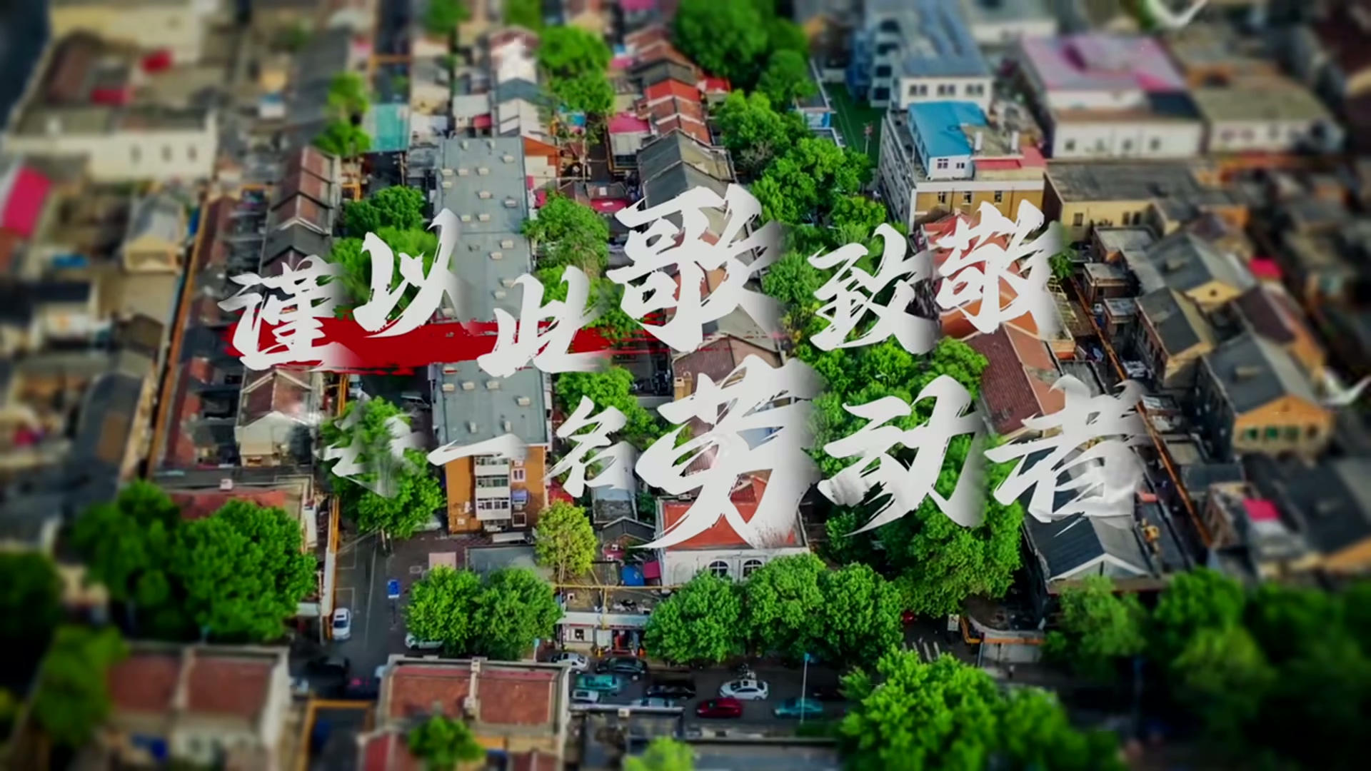 《倔強(qiáng)的飛鳥》 (1)