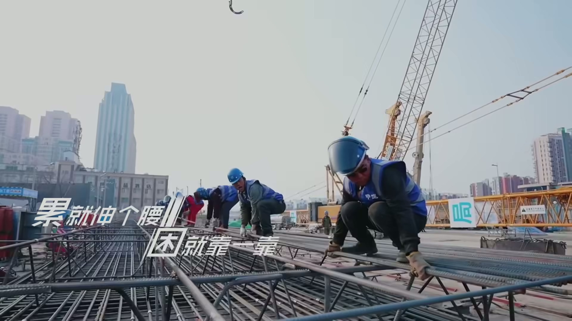 《倔強(qiáng)的飛鳥》 (3)