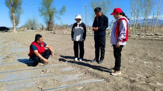 鍥而不舍落實(shí)中央八項(xiàng)規(guī)定精神｜從會(huì)議桌轉(zhuǎn)向田間地頭——新疆精河縣農(nóng)技干部蹲點(diǎn)助農(nóng)見聞