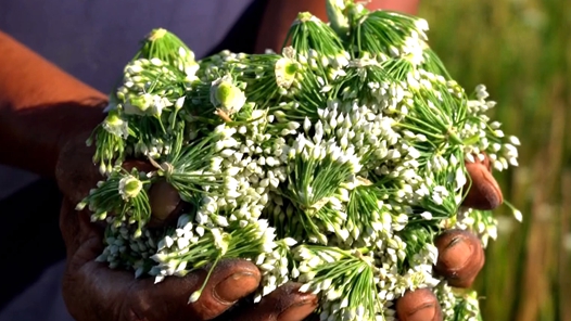 勞動(dòng)者的手