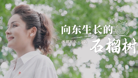 向東生長(zhǎng)的石榴樹